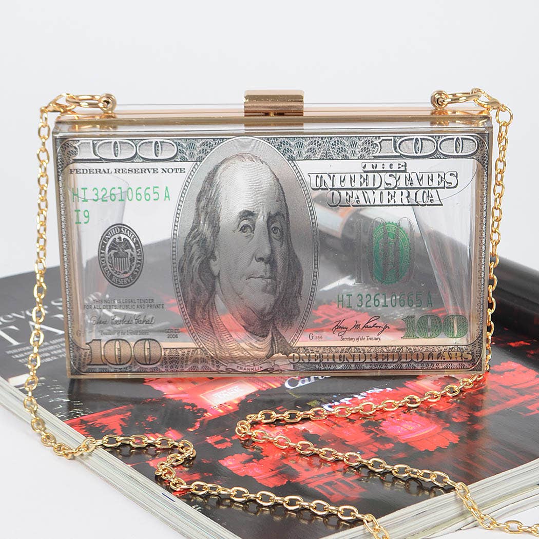 Money Printed Transparent Hard Case Bag